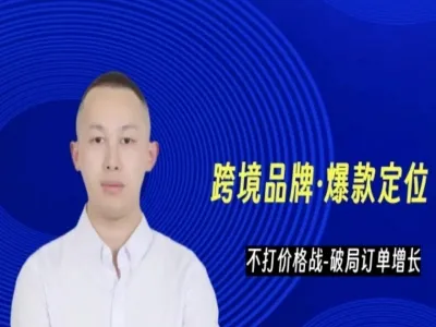 恐龙跨境-爆款定位高客单产品蓝海同质化战略(价值1200)