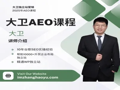 大卫AEO 独立站营销跨境电商教程下载